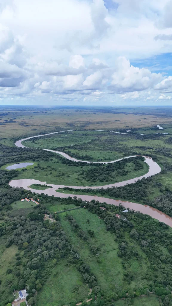 Découvrir Pantanal
